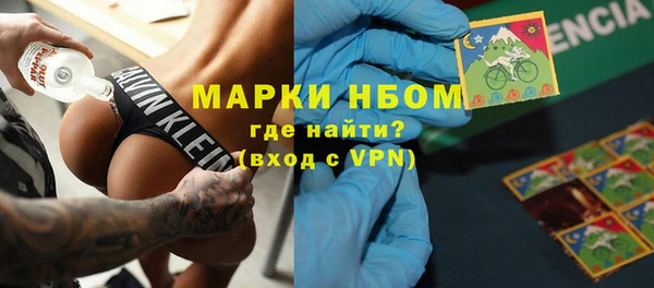 PSILOCYBIN Аркадак