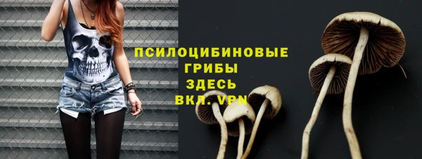 PSILOCYBIN Аркадак