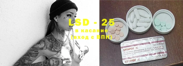 PSILOCYBIN Аркадак