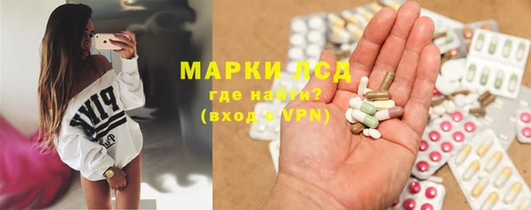 PSILOCYBIN Аркадак