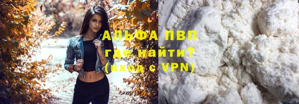 PSILOCYBIN Аркадак