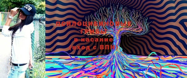 PSILOCYBIN Аркадак